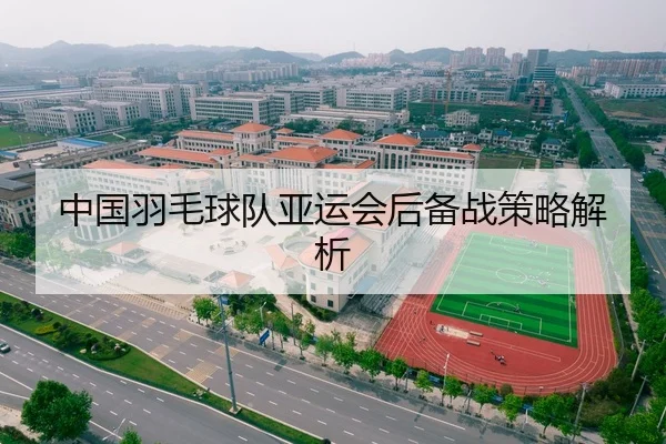 中国羽毛球队亚运会后备战策略解析
